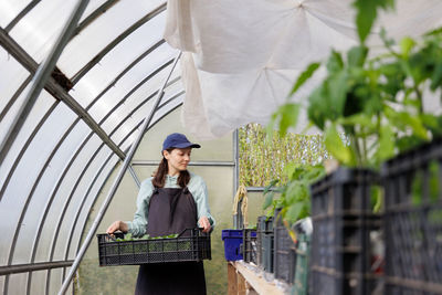 Low angle view of young man standing in greenhouse