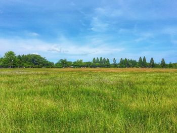 Scenic view of grassy field against cloudy sky