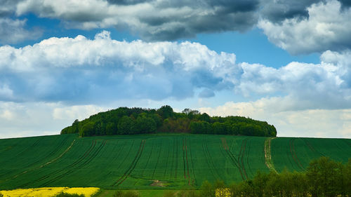 Scenic view of agricultural field against sky