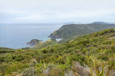 Coastal scenery around cape reinga at the north island in new zealand