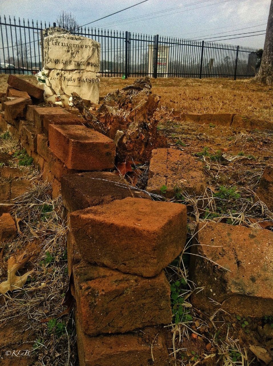 high angle view, wood - material, metal, sunlight, plant, day, no people, outdoors, grass, steps, abandoned, wooden, railing, nature, bench, close-up, front or back yard, fence, chair, ground