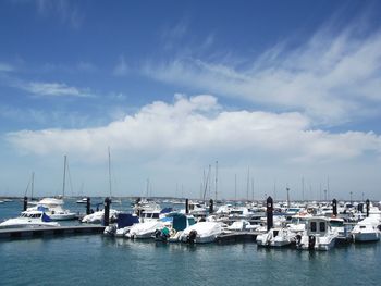 Boats moored at harbor against sky