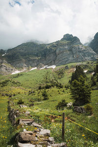 Scenic view of green landscape and mountains against sky