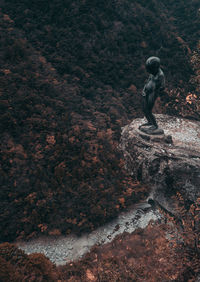High angle view of man standing on rock