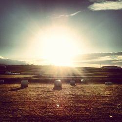 Scenic view of landscape at sunset