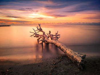 Scenic view of sea against sky during sunset