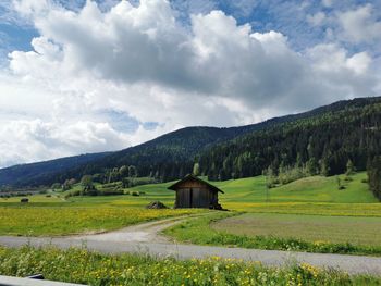 Scenic view of field against sky