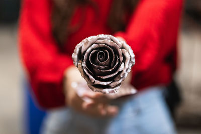 Close-up of hand holding red flower