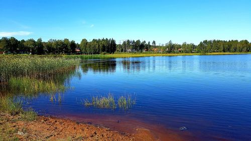 Scenic view of lake against blue sky