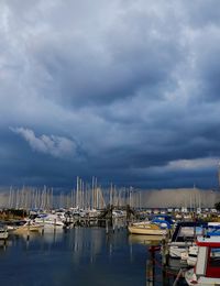 Sailboats moored in harbor