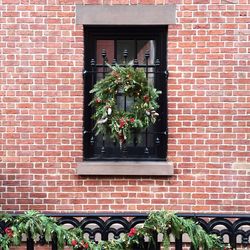 Plants growing on window