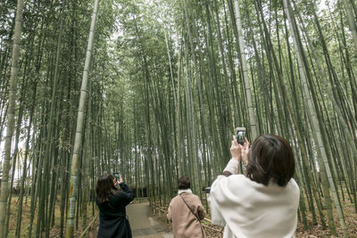 Rear view of man photographing in forest
