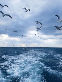 Seagulls flying over sea against sky