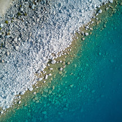 High angle view of jellyfish in swimming pool