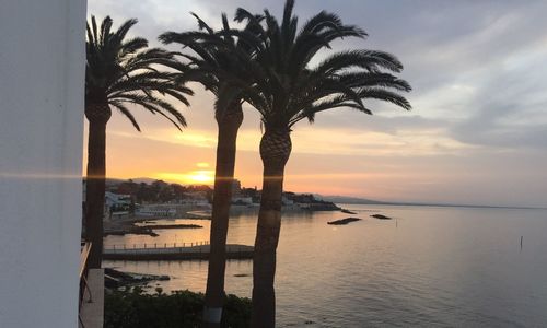 Silhouette palm tree by swimming pool against sky during sunset