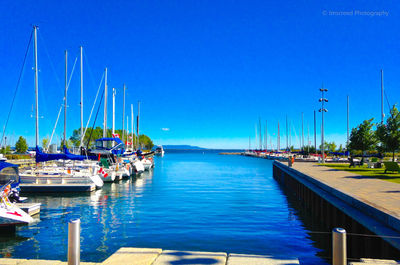 Boats in harbor