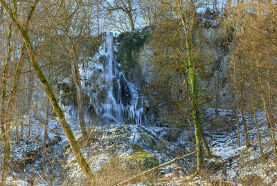 Scenic view of waterfall in forest