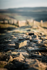 Surface level of rocks on shore