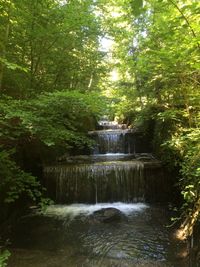 Waterfall in forest