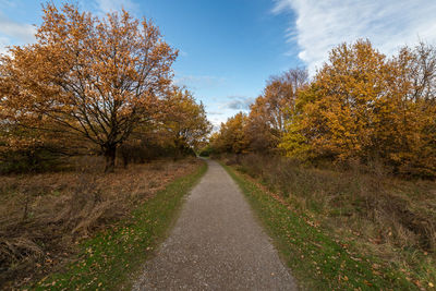 Road amidst trees against sky during autumn