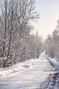 Snow covered land against sky