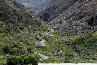 High angle view of stream amidst trees in valley