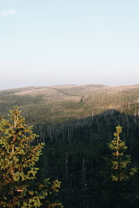 Scenic view of landscape against clear sky