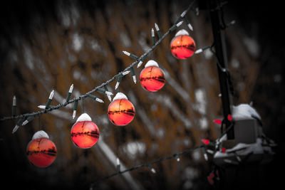 Close-up of red christmas decorations 