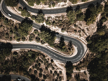 High angle view of road amidst trees