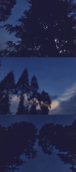 Silhouette trees against sky at sunset