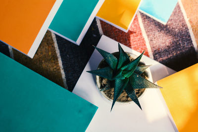 High angle view of multi colored papers with indoor plants 