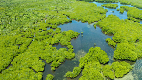 High angle view of leaf floating on water