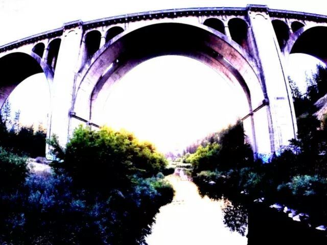 arch, built structure, tree, nature, no people, water, architecture, outdoors, growth, beauty in nature, bridge - man made structure, day, scenics