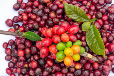 Close-up of grapes