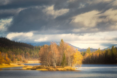 Scenic view of lake amidst trees against sky