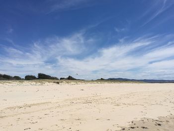 Scenic view of beach against blue sky