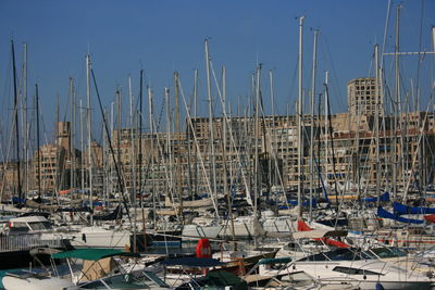 Sailboats moored at harbor against clear sky