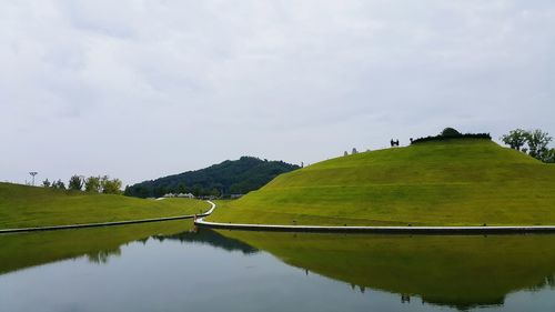 Reflection of trees in water