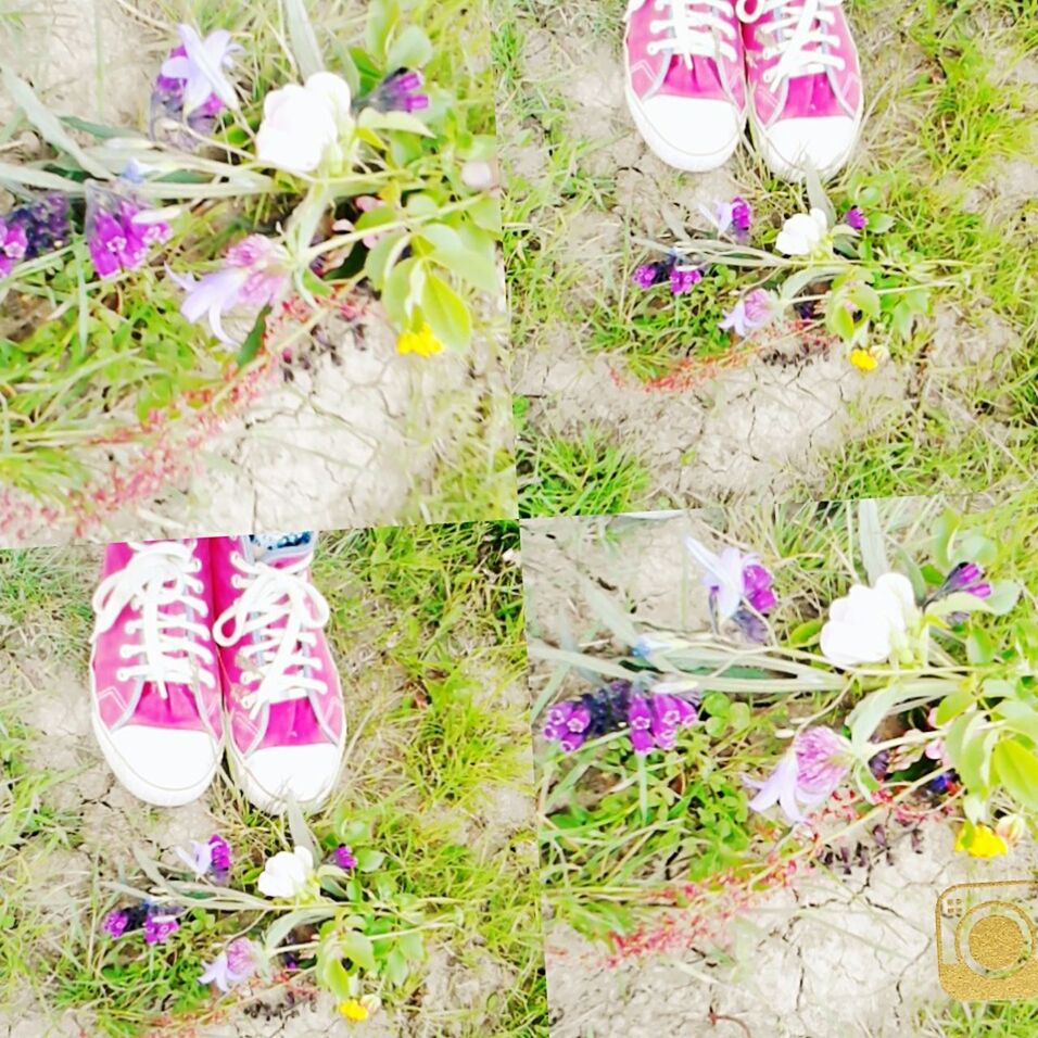 flower, pink color, plant, shoe, high angle view, low section, growth, grass, fragility, standing, petal, field, multi colored, freshness, person, nature, day, outdoors, one person, beauty in nature