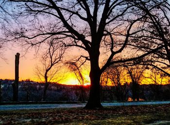 Silhouette trees on landscape against sky at sunset