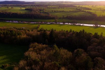 High angle view of river amidst trees