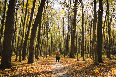 Rear view of woman walking in forest