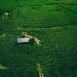 A wisconsin farm in summertime from above
