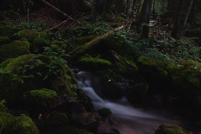 Scenic view of waterfall in forest at night