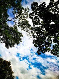 Low angle view of tree against cloudy sky