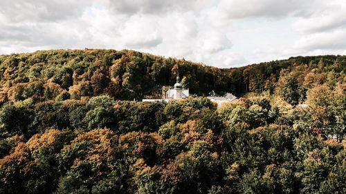 Plants and trees by building against sky