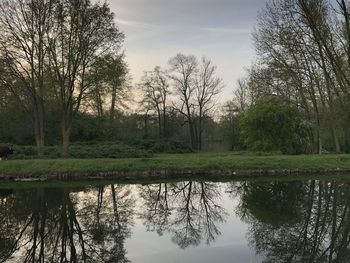 Reflection of trees in lake against sky