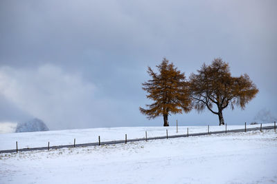 Trees on snow covered field against sky