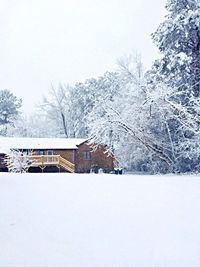 Snow covered land and trees against sky