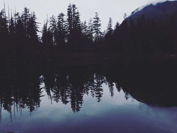 Reflection of trees in calm lake